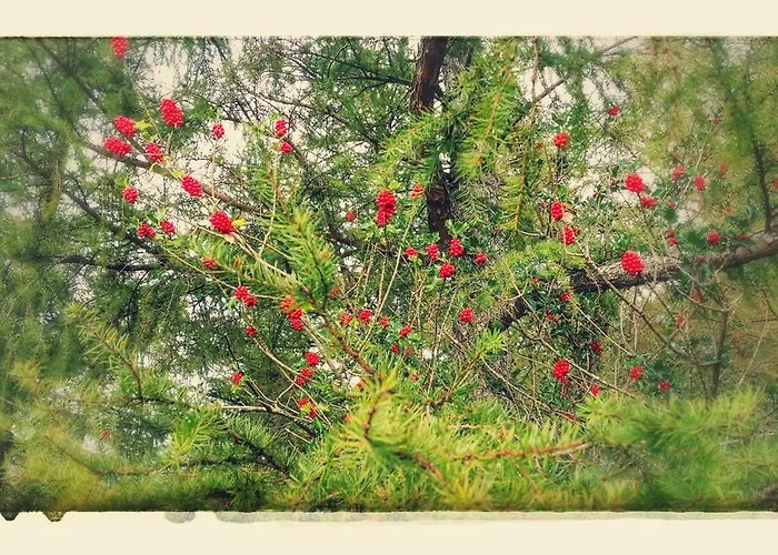 بيت للعطل Anikunborda ساري